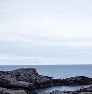 1489997149135179.jpg 640.webp (69).jpg